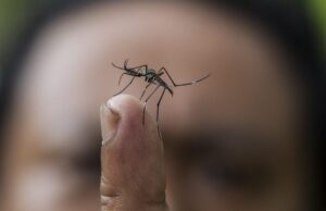 Είστε «μαγνήτες» των κουνουπιών; Αυτή είναι η αιτία…