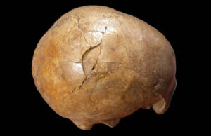 Ερευνήτριες αποκάλυψαν φόνο – μυστήριο που έγινε πριν από 33.000 χρόνια