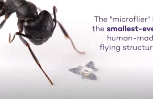 ΒΙΝΤΕΟ: Έφτιαξαν τσιπάκι που πετάει σε μέγεθος κόκκου άμμου!