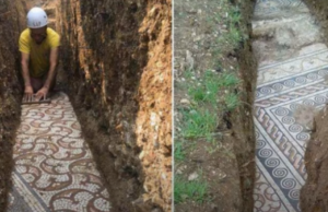 Ιταλία: Eντυπωσιακό αρχαίο ψηφιδωτό δάπεδο κάτω από αμπελώνα στην Βερόνα