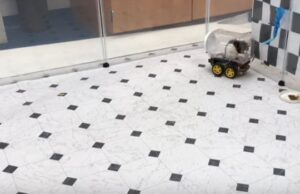 Ερευνητές κατάφεραν να μάθουν σε ποντίκια να οδηγούν μικροσκοπικά αυτοκίνητα