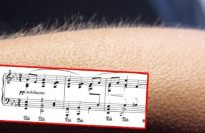 Επιστήμονες: Αν η μουσική σας ανατριχιάζει τότε ο εγκέφαλός σας είναι εξαιρετικός