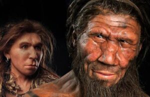 Ανακαλύφθηκε σημαντική γενετική μετάλλαξη που αναβάθμισε τον εγκέφαλο του σύγχρονου ανθρώπου