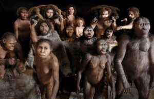 Φώς στο πώς εξαφανίστηκαν οι Νεάντερταλ