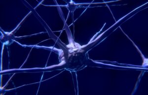 Επιστήμονες εντόπισαν τα κύτταρα του εγκεφάλου που πεθαίνουν με τη νόσο του Πάρκινσον