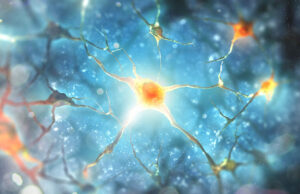 Επιστήμονες χαρτογράφησαν τους νευρώνες τραγουδιού στον ανθρώπινο εγκέφαλο