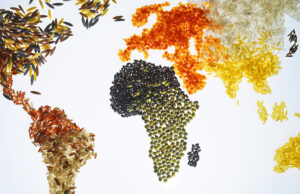 «Παγκόσμια Συνδημία»: Η νέα και μεγαλύτερη απειλή για τη Γη και την ανθρωπότητα