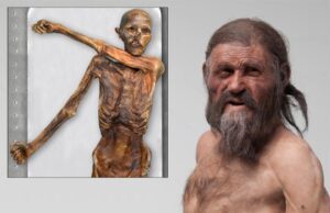 Το… διαιτολόγιο του Ανθρώπου των Πάγων 5.300 χρόνια πριν