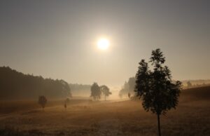 Καταιγίδες σκόνης ερήμου και προστασία ευάλωτων υποομάδων. Της Δρ. Σουζάνας Αχιλλέως