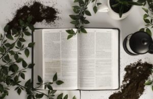 Αυτή είναι η λέξη του 2018