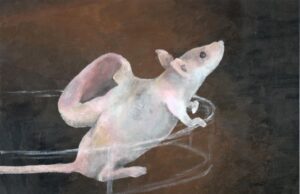 Ζώα και Επιστήμη. Πόσο ειλικρινείς είμαστε;