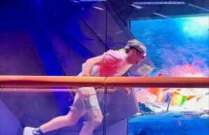 «Όποιον παίρνει ο άνεμος»: Προσομοιωτές ρίχνουν ριπές τυφώνα στο κοινό (βίντεο)