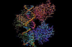 Στη διάθεση των επιστημόνων η «ταυτότητα» 200 εκατ. πρωτεϊνών