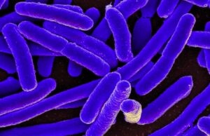 Φρικτή ασθένεια που προκαλεί γάγγραινα αναδύθηκε στην πλημμυρισμένη Φλόριντα