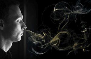 Η μυρωδιά φαίνεται πως παίζει ρόλο στις φιλίες