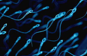 Το σπέρμα παίζει…Tetris για να αποθηκεύσει το DNA