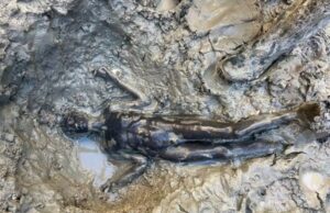 Οι 10 κορυφαίες αρχαιολογικές ανακαλύψεις του 2022