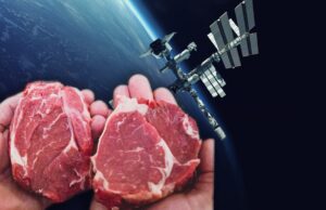 Μπορεί να παραχθεί κρέας στο διάστημα;
