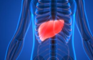 Έγινε για πρώτη φορά επιτυχής μεταμόσχευση ανθρώπινου ήπατος διατηρημένου επί τρεις μέρες εκτός σώματος