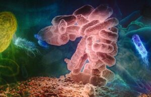 Νοσηλεία για λοίμωξη σε μικρή ηλικία φέρνει πιο κοντά την άνοια