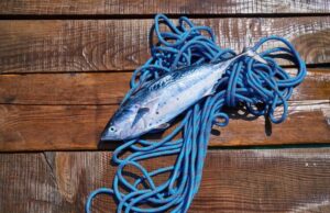 Τα Ω3 λιπαρά οξέα ρίχνουν την πίεση και αποτρέπουν τη στεφανιαία νόσο