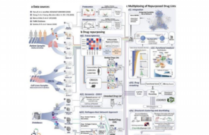 Σε λίστα γνωστών φαρμάκων με πιθανή δράση κατά της COVID-19 κατέληξε επιστημονική έρευνα από επιστήμονες σε Ελλάδα και Κύπρο