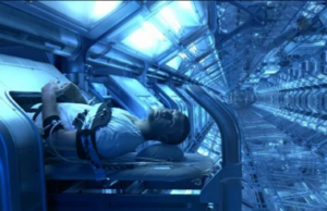 Ο αρκτικός σκίουρος έχει το μυστικό για την κατάκτηση του Διαστήματος από τον άνθρωπο