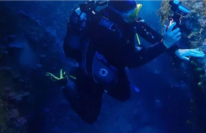 NG: Η Αλόννησος 1η στους καταδυτικούς προορισμούς