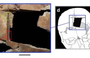 Αρχαιολόγοι ανακάλυψαν κρανίο με τετράγωνη τρύπα – Τι σημαίνει