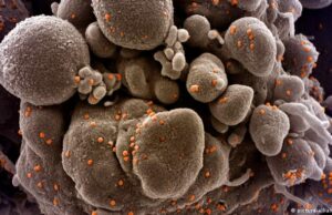 Κορονοϊός: Εκφράζεται ανησυχία για την εμφάνιση πραγματικά κακής μετάλλαξης