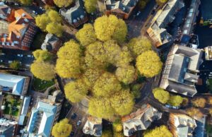 Ερευνα: Περισσότερα δέντρα στις πόλεις της Ευρώπης θα σώσουν χιλιάδες ζωές