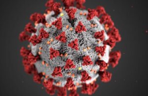 Ο ΕΜΑ προειδοποιεί για επικράτηση του στελέχους Kraken