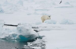 Ανησυχητικές συγκεντρώσεις των «παντοτινών χημικών» εντοπίστηκαν στους πάγους της νορβηγικής Αρκτικής