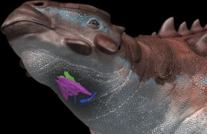 Τι ήχους έβγαζαν οι δεινόσαυροι; Οι επιστήμονες ίσως έχουν μια πρώτη απάντηση