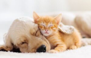 Kama muta: Το “άγνωστο” συναίσθημα που όλοι έχουμε νιώσει