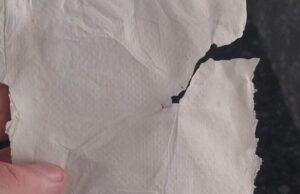 Χαρτί από βακτήρια δημιούργησαν Eλληνες επιστήμονες