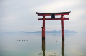 Μαθήματα οικολογικής αφύπνισης από τη μακρινή Ιαπωνία