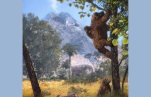 Έρευνα αναδεικνύει ότι οι πίθηκοι στάθηκαν όρθιοι για να πιάσουν φύλλα