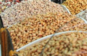 Πώς τρέφονται οι αιωνόβιοι- 6 καθηγητές του ΕΚΠΑ δίνουν διατροφικές συμβουλές