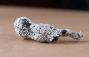 Κεραυνός έπεσε σε δέντρο και δημιουργήθηκε νέο ορυκτό