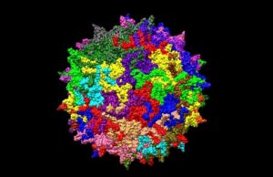 Νέα εξήγηση για τη μυστηριώδη «επιδημία» ηπατίτιδας σε παιδιά