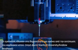 Δημιουργήθηκε ανθρώπινος καρδιακός ιστός με εκτυπωτές 3D (βίντεο)