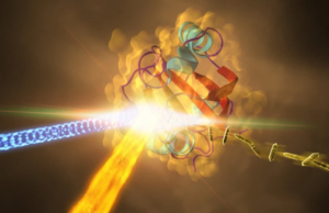 Επιστήμονες βρήκαν το τελευταίο στάδιο της φωτοσύνθεσης που μας διέφευγε