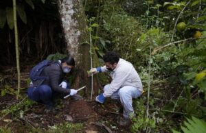 Οι επιστήμονες μπορούν πλέον να συλλέγουν ανθρώπινο DNA από δείγματα εδάφους ή νερού