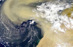 Λίπασμα εδάφους-θαλάσσης: Πώς η σκόνη της Σαχάρας ταΐζει το φυτοπλαγκτόν