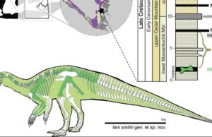 Νέο είδος δεινόσαυρου στη Γιούτα ρίχνει φως σε μία περίοδο μεγάλων περιβαλλοντικών αλλαγών