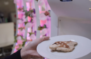 Μαγειρεύοντας σε μία διαστημική κουζίνα: Το πρότζεκτ που φιλοδοξεί να φέρει “λίγη ανθρωπότητα στο διάστημα”