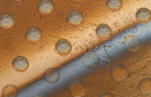 Ένας άτλαντας της γήρανσης των κυττάρων ανοίγει το δρόμο σε αντιγηραντικές θεραπείες