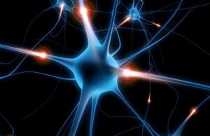 Βλαστικά κύτταρα «εξαφάνισαν» τις επιληπτικές κρίσεις σε δύο ασθενείς