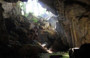 H άγνωστη πρώτη έξοδος του ανθρώπου από την Αφρική